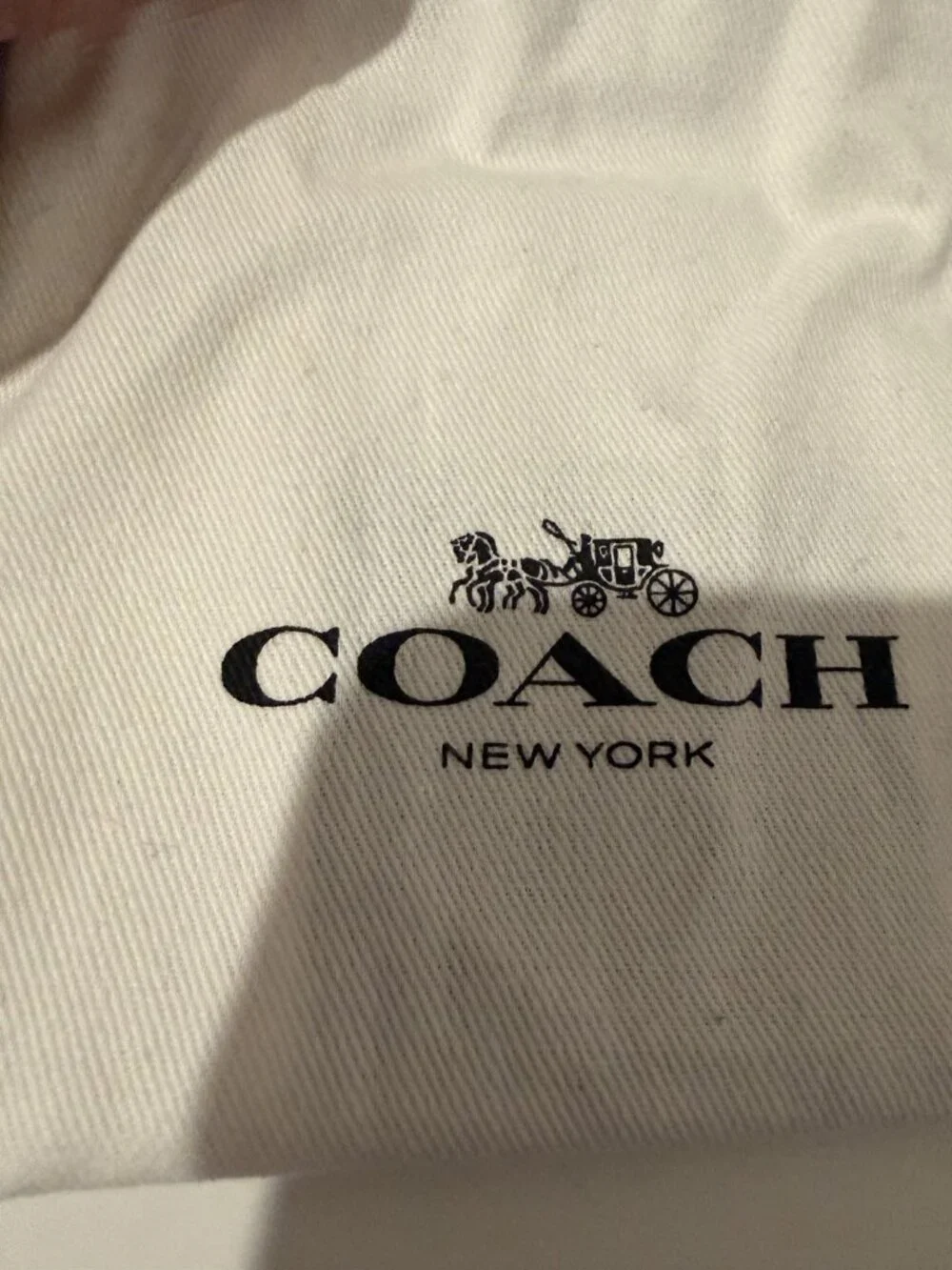 Coach Poppy Tea Rose Gold Earring and Necklace Set NWT